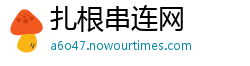 扎根串连网